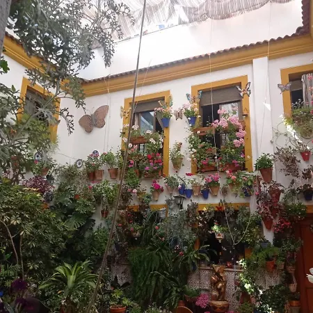 Holiday home Patio Pozanco Cordoba
